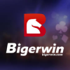 BIGERWIN LOGO